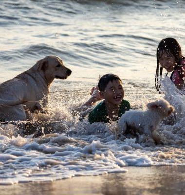 Pensato per tutta la famiglia Cabot Tres Torres Apartments Playa de Palma Pensato per tutta la famiglia Cabot Tres Torres Apartments Playa de Palma