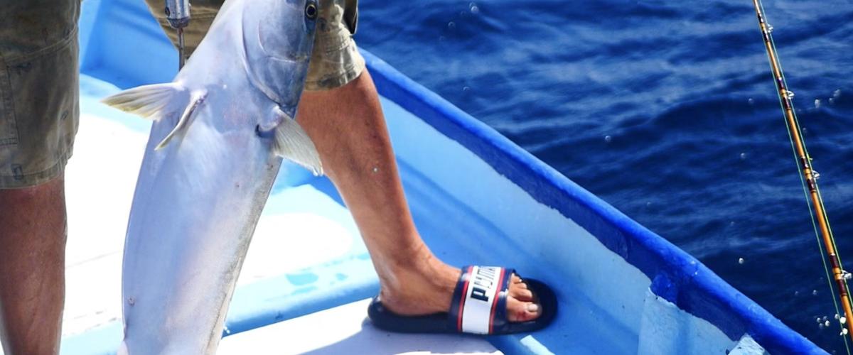 Balade dans le port de Cala Bona Cabot Hotels Balade dans le port de Cala Bona Cabot Hotels