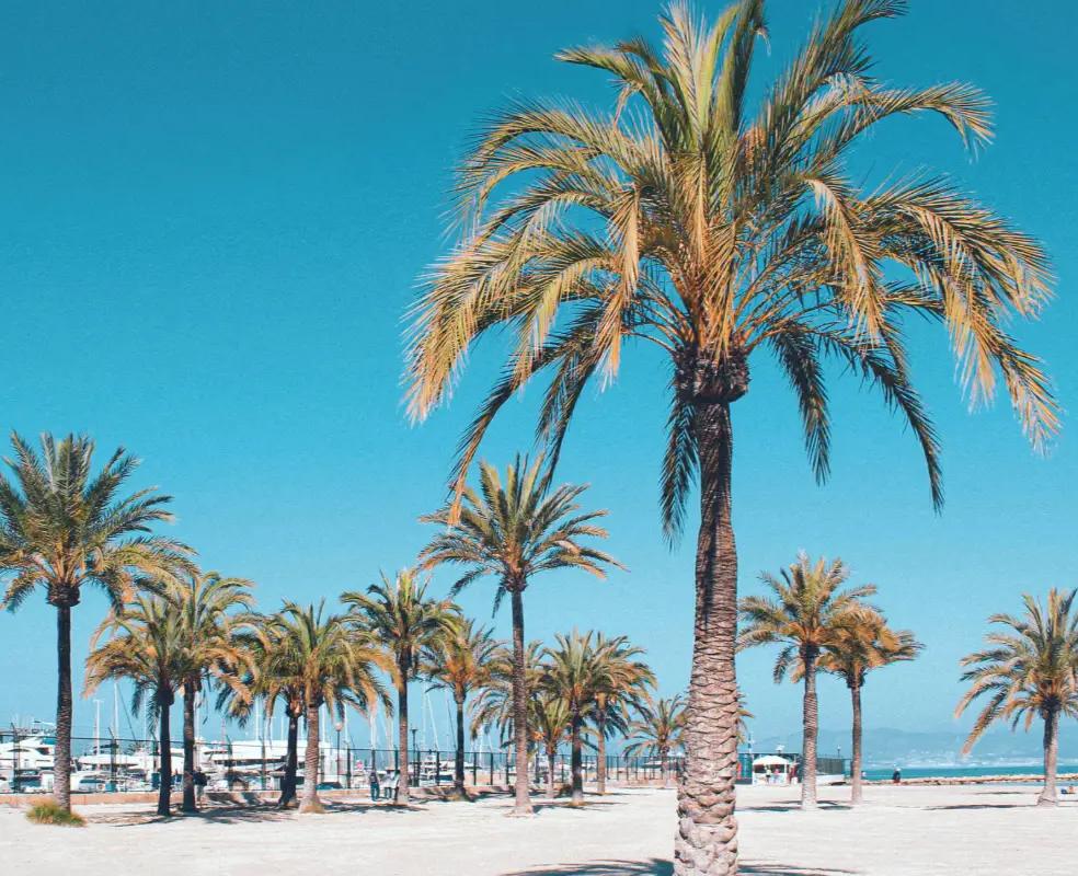 Puerto de Pollensa Cabot Hotels Puerto de Pollensa Cabot Hotels