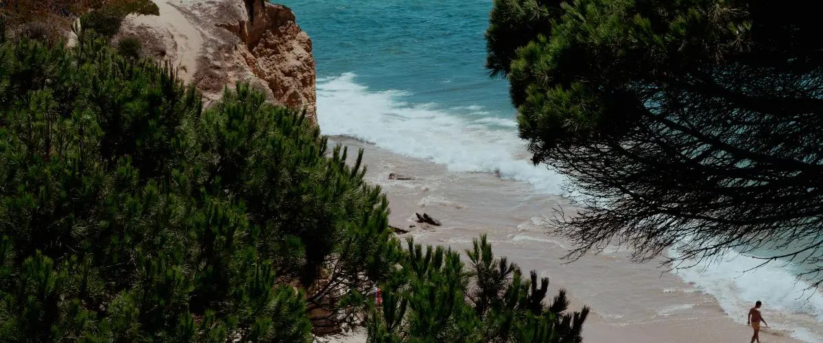 Pine Walk Ein Spaziergang unter Pinien am Meer Cabot Hotels Pine Walk Ein Spaziergang unter Pinien am Meer Cabot Hotels
