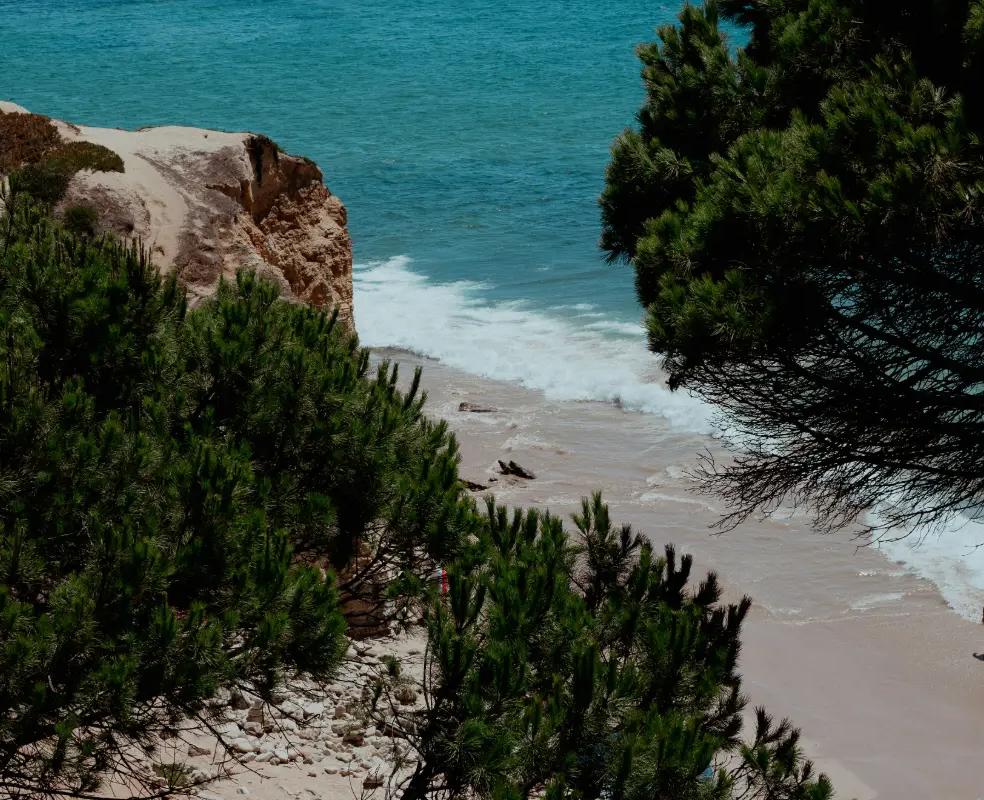 Puerto de Pollensa Cabot Hotels Puerto de Pollensa Cabot Hotels