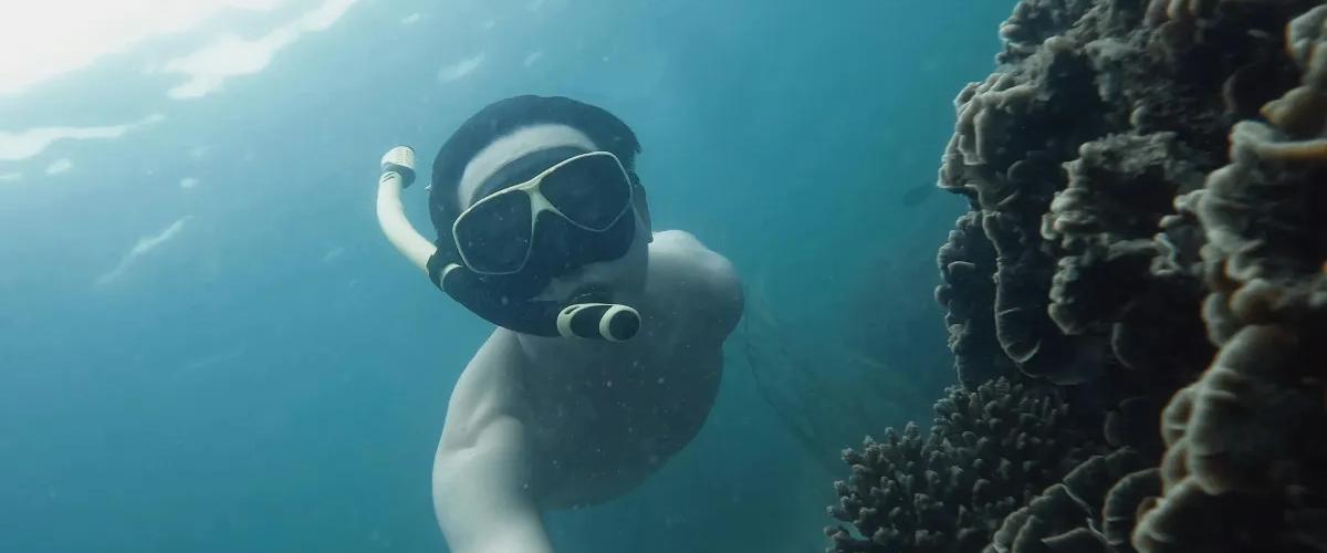 Snorkeling & Plongée Explorez le Monde Sous-Marin Cabot Hotels Snorkeling & Plongée Explorez le Monde Sous-Marin Cabot Hotels